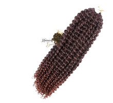 Load image into Gallery viewer, Passion Twist / Water Wave 100% kanekalon crochet Hair for Butterfly locs