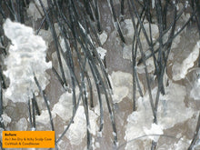 Load image into Gallery viewer, AS I AM Dry & Itchy Scalp Care Conditioner (12oz)